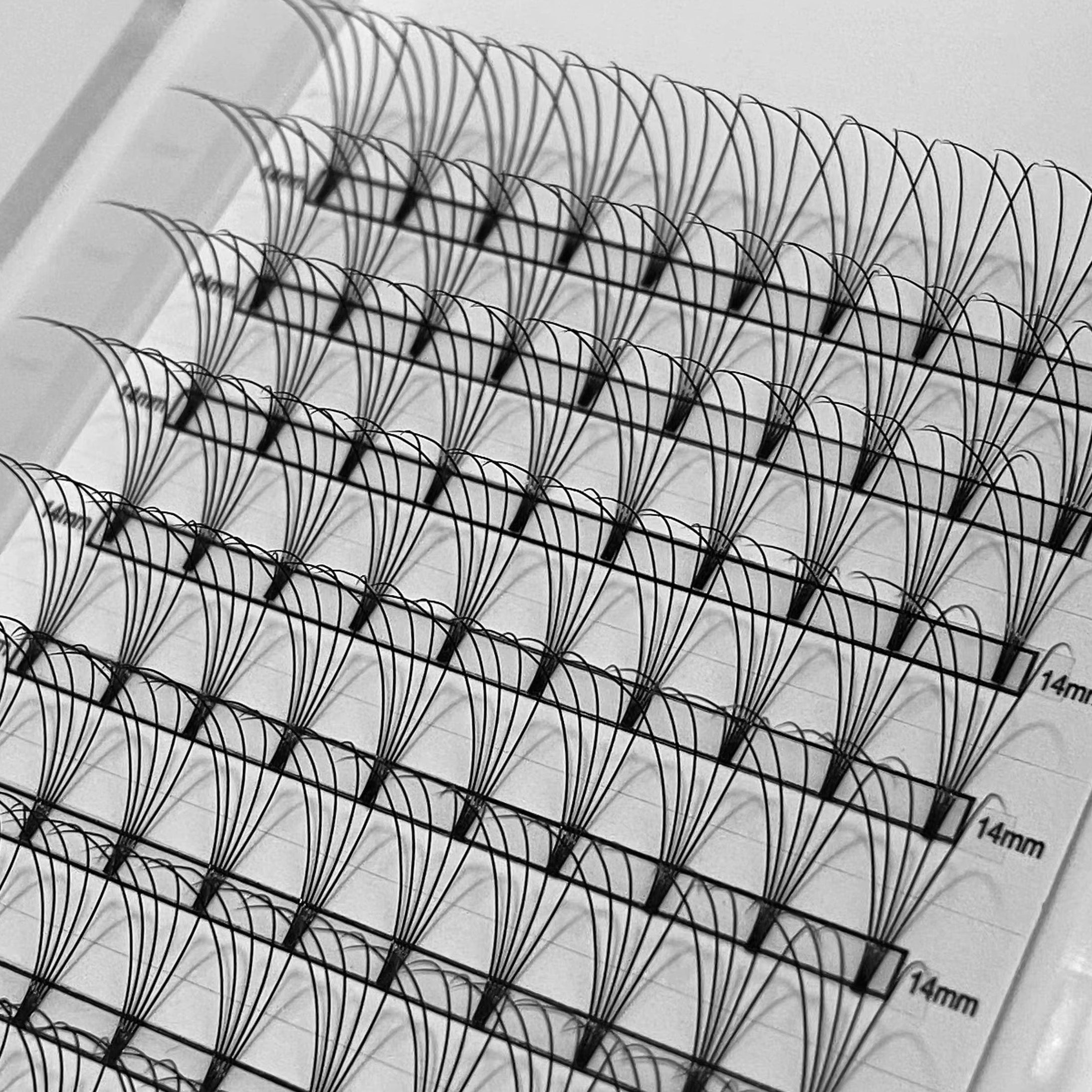 5D Pre-made Lashes