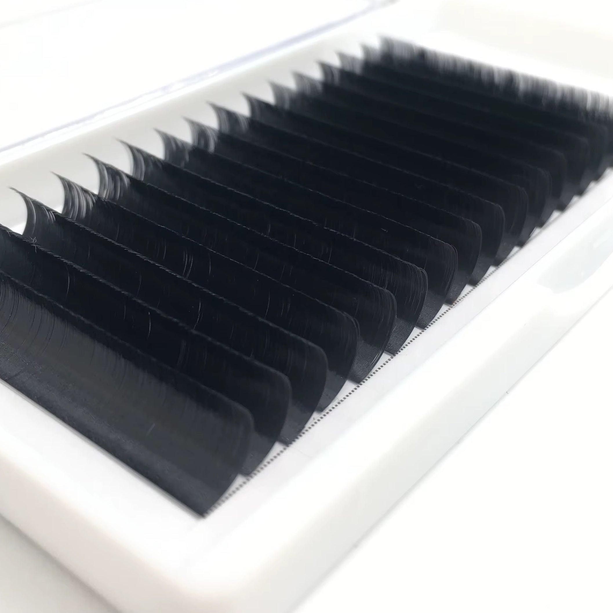 Flat Classic Lash